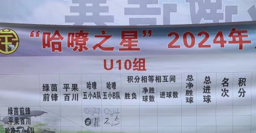 “哈嘹之星”2024年广西平果青少年足球赛29日赛况